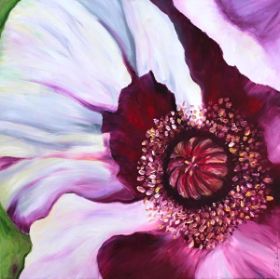 Mohn-Violett-80x80-Oel.jpg